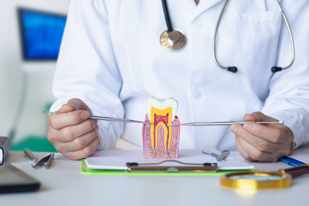 Best Tooth Pain Emergency Relief  in Bellevue, WA